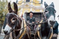 Фото Сладкая сказка